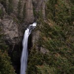 DSC_4829_canyon_yellowstone