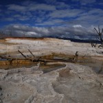 DSC_4891_mammouthhotspring_yellowstone