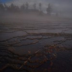 DSC_4965_mammouthhotspring_yellowstone