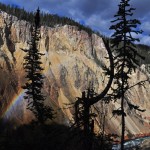 DSC_5262_canyon_yellowstone