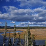 DSC_5318_yellowstone