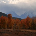 DSC_5525__snakeriver_teton