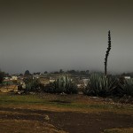 DSC_5663