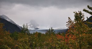 DSC_1469
