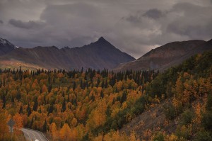 DSC_2091