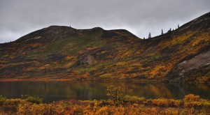 DSC_3251