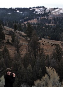 DSC_4666_northwest_yellowstone