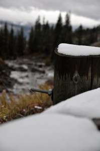 DSC_4701_northwest_yellowstone