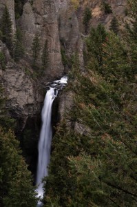 DSC_4829_canyon_yellowstone