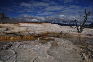 DSC_4891_mammouthhotspring_yellowstone