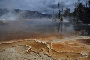 DSC_4905_mammouthhotspring_yellowstone