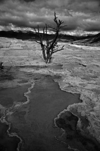 DSC_4959_mammouthhotspring_yellowstone