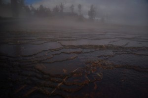 DSC_4965_mammouthhotspring_yellowstone