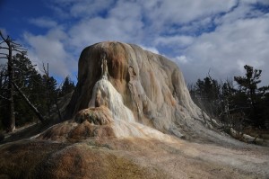 DSC_4967_mammouthhotspring_yellowstone