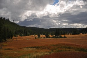 DSC_4980_yellowstone