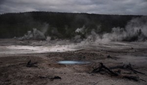 DSC_5135_norrisgayserbasin_yellowstone