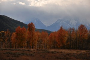 DSC_5525__snakeriver_teton