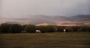 DSC_5596_Wyoming