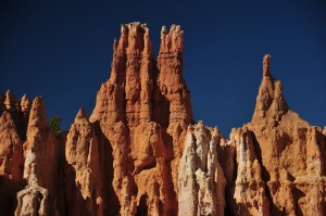 DSC_6157
