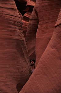 DSC_6607