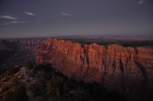 DSC_6910