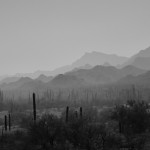 DSC_1039