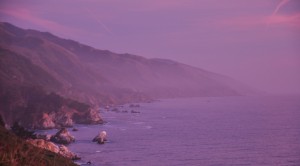 DSC_9918