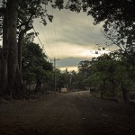 DSC_9090