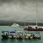 DSC_3841_PuertoAyora