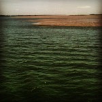 DSC_5574a_Manaus
