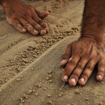 DSC_6169_Marajo