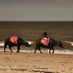 DSC_6285_Marajo