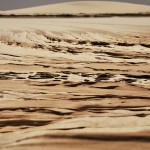 DSC_7320_LencoisMaranenses