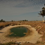 DSC_7387_LencoisMaranenses