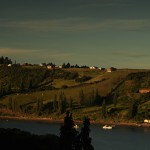 DSC_4852_Castroo