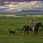 DSC_6671_TorresDelPaine