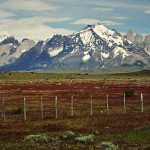 DSC_6684_TorresDelPaine