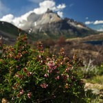 DSC_6805_TorresDelPaine